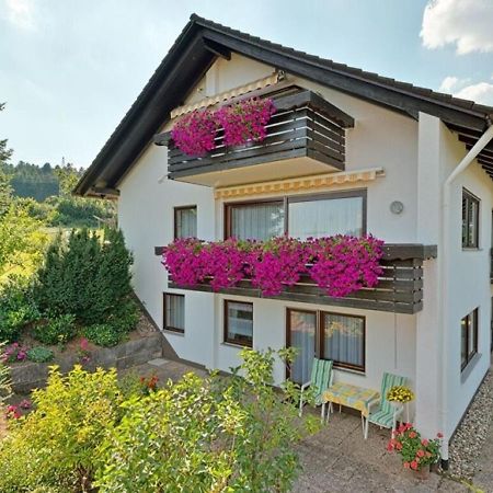 Wohnung Im Dachgeschoss Freudenstadt Bagian luar foto